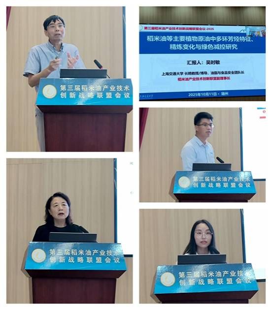 作报告替换_副本_副本